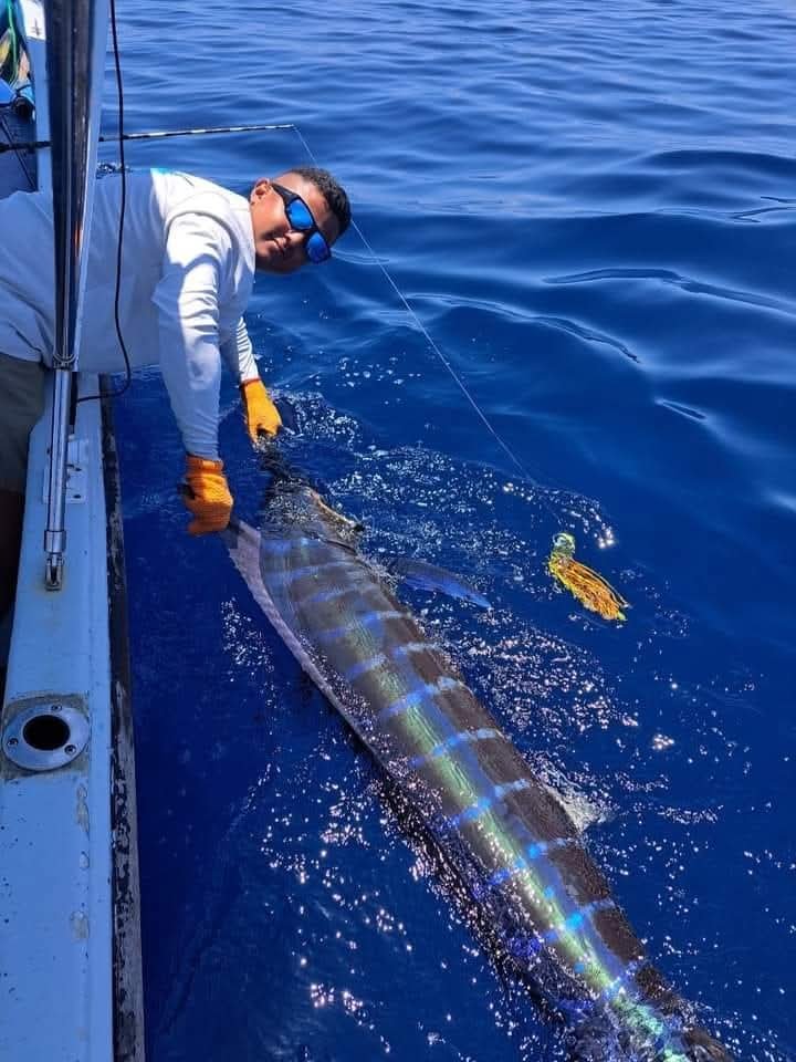 Striped Marlins  Osa Peneinsula Costa Rica 