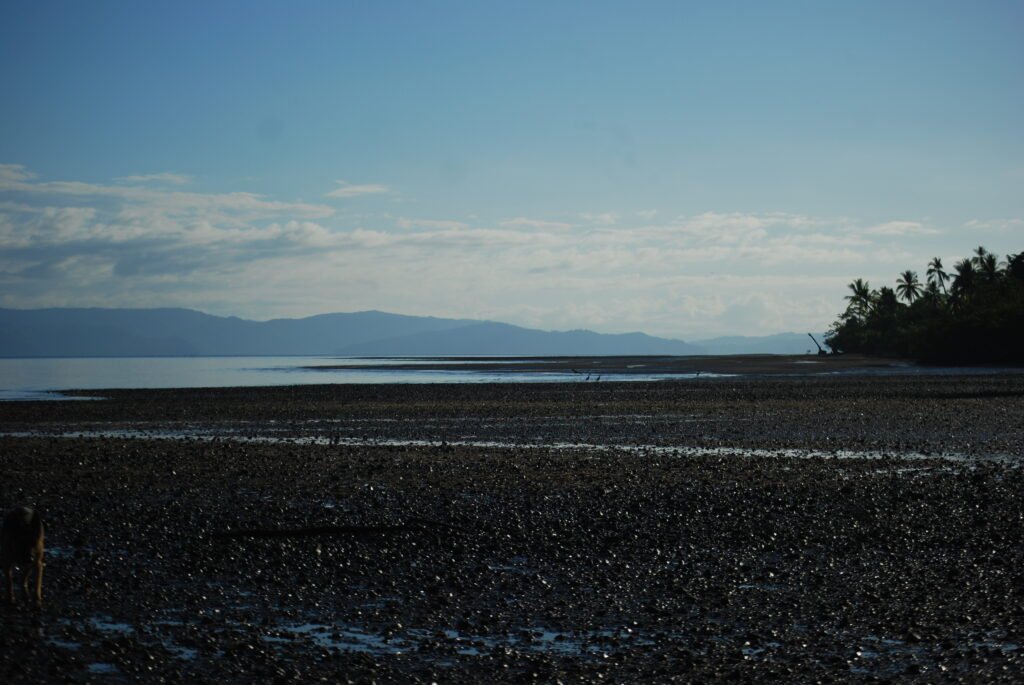 Beaches of Osa Peninsula Costa Rica 