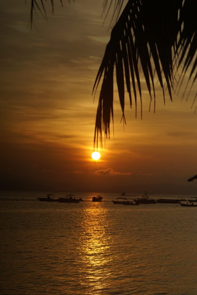 Beaches of osa peninsula Costa Rica