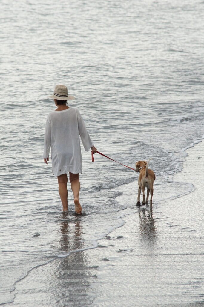 Morning walk on the beach of Osa Peninsula Costa Rica