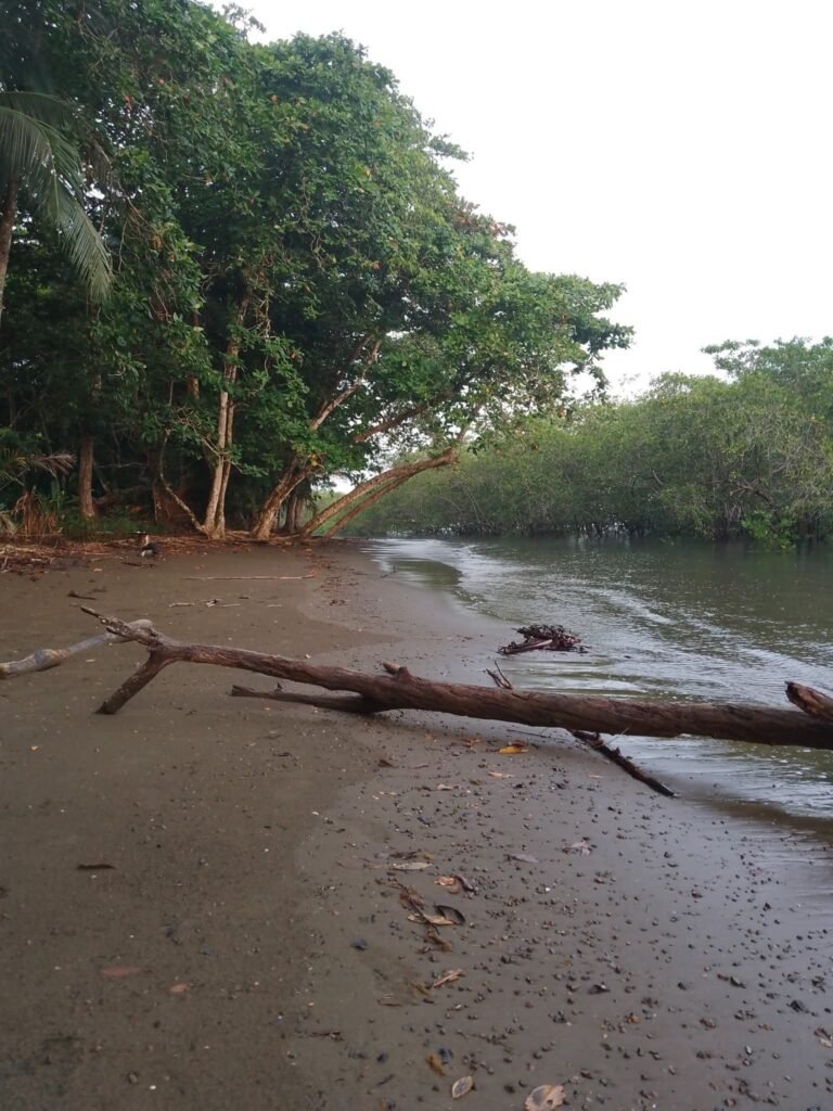 Beaches of the Osa Peninsula Costa Rica 