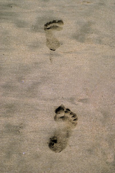 Foot prints in the sand. Osa Peninsula costa Rica