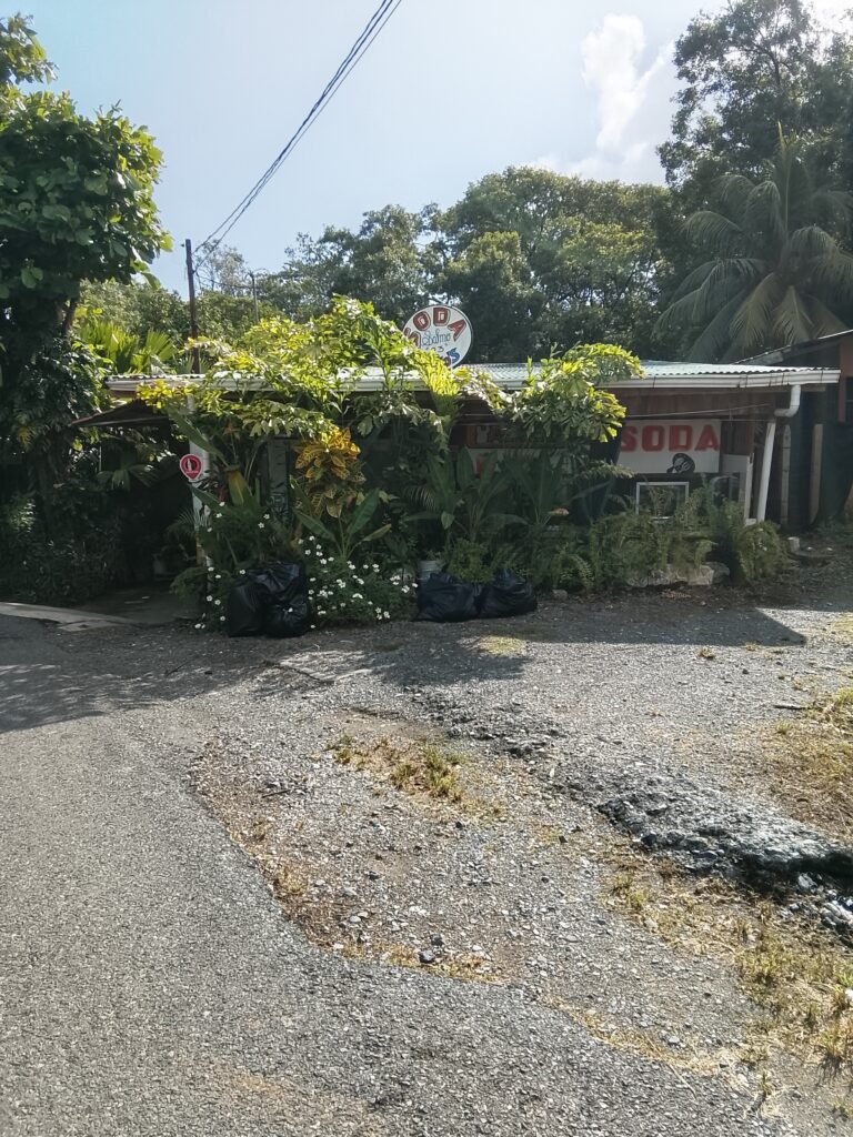 soda calios puerto jimenez osa peninsula