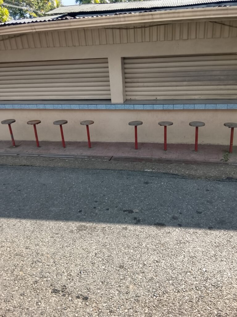 Pollo frito opi opi puerto jimenez osa peninsula 