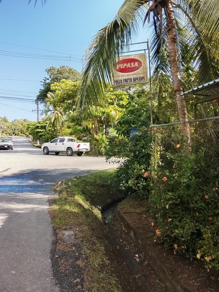 pollo frito OPI Opi puerto jimenez osa peninsula