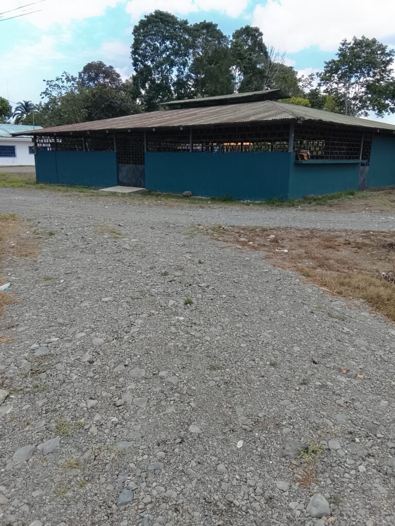 Community center . Sandalo Osa Peninsul