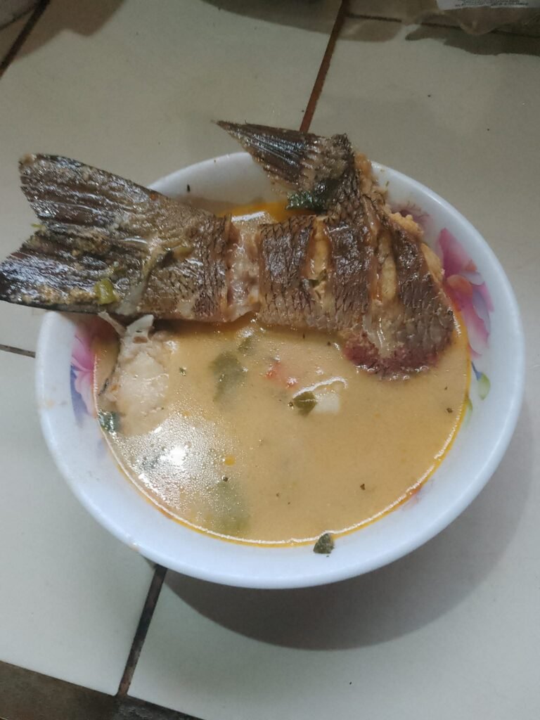 Costa Rica coconut fish soup