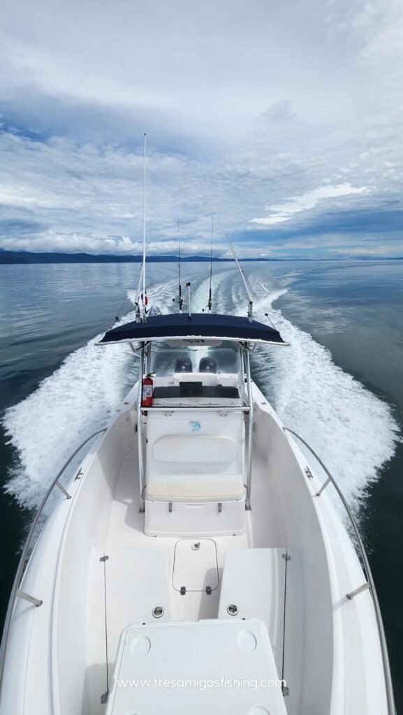 Tres amigos 26 feet proline sport fisher. www.tresamigos.com