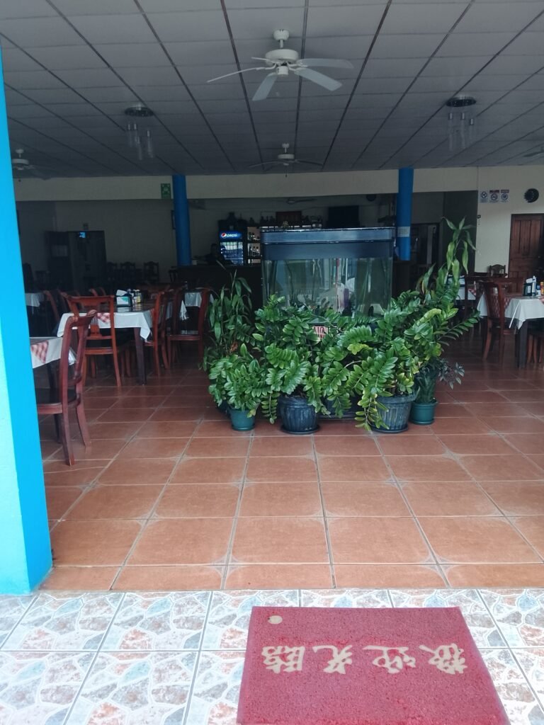 Restaurant Delfin Blanco Puerto Jimenez Costa Rica