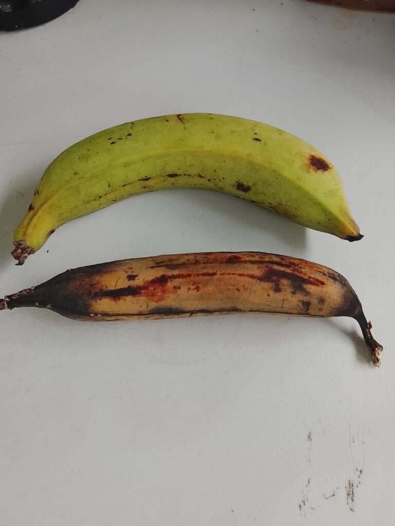 Costa Rica plantains, both grren and ripe 